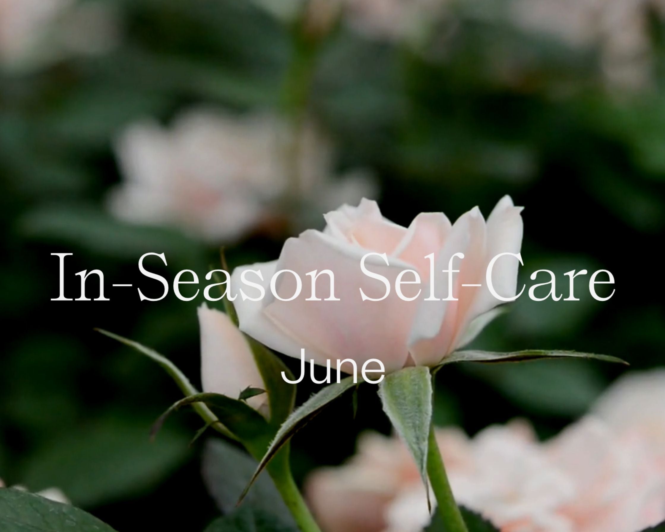 In Season Self-Care: June