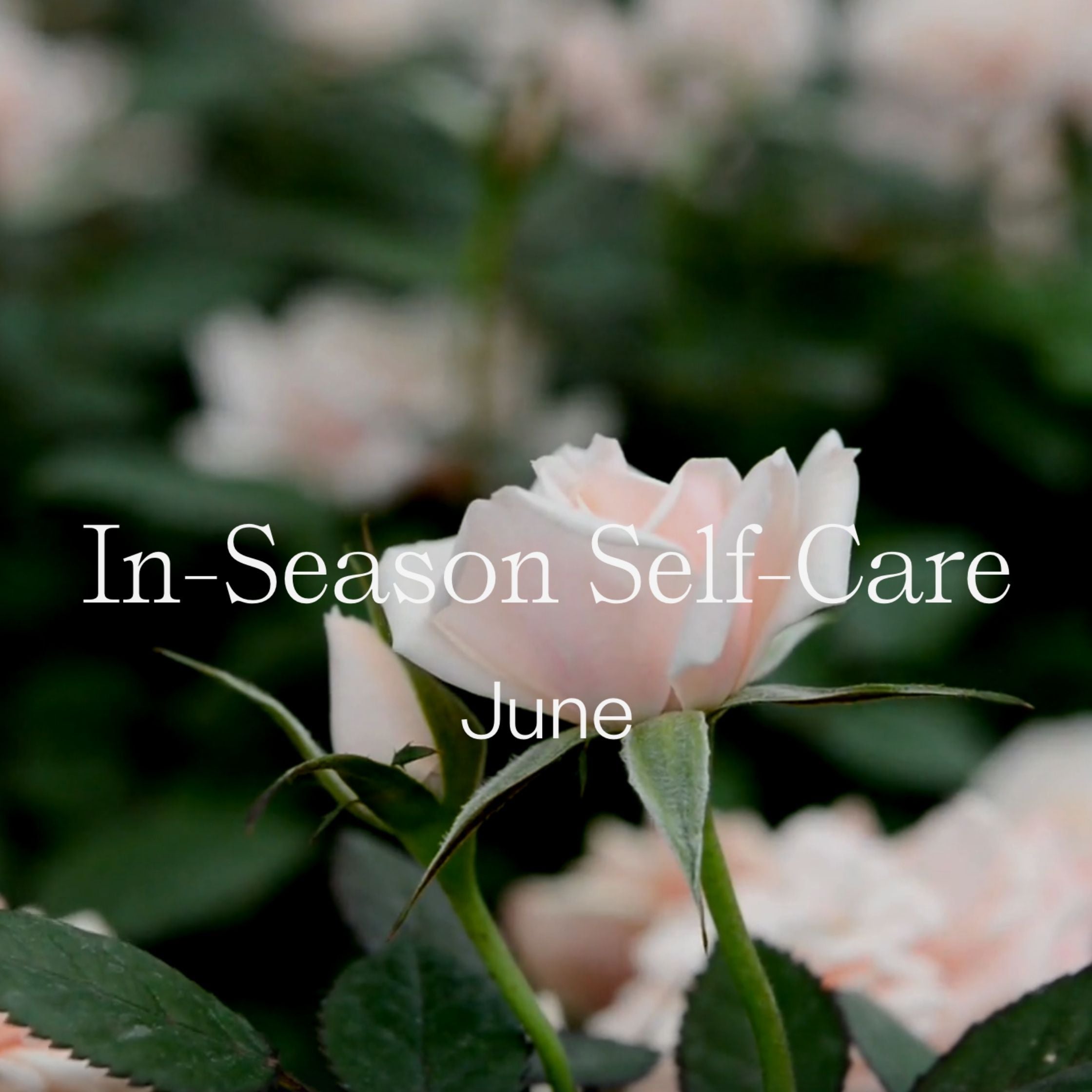 In Season Self-Care: June